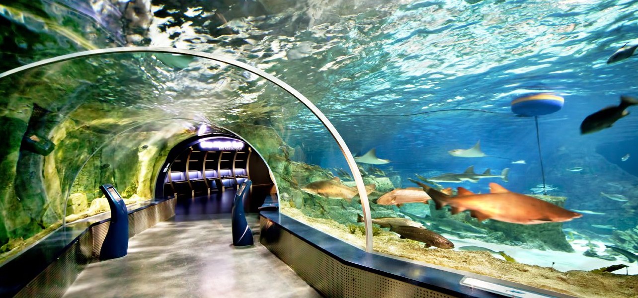 Aqua park florya Avm